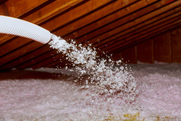Best Crawl Space Insulation  in Beaumont, TX