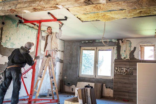 Best Affordable Insulation Services  in Beaumont, TX