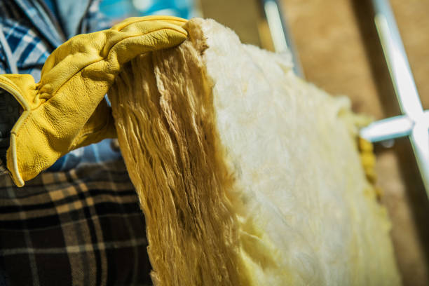 Best Wall Insulation Contractor  in Beaumont, TX