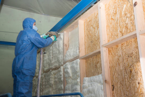 Best Attic Insulation Installation  in Beaumont, TX